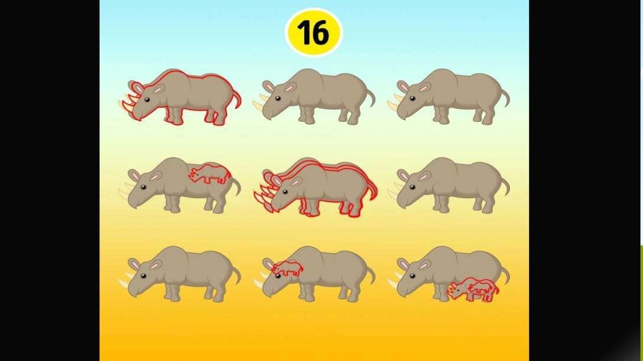 ಆಪ್ಟಿಕಲ್ ಇಲ್ಯೂಷನ್ ಉತ್ತರ