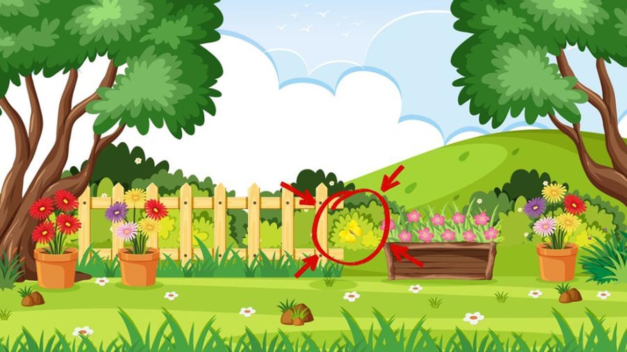 Optical Illusion Answer