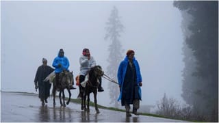 Pahalgam Terror Attack: ಪಹಲ್ಗಾಮ್ ಭಯೋತ್ಪಾದಕ ದಾಳಿಗೆ ಒಂದು ವರ್ಷ, ಗಾಯಗೊಂಡಿದ್ದ ಸ್ವರ್ಗಕ್ಕೆ ಮರಳಿದ ಚೈತನ್ಯ, ಚೇತರಿಕೆಯ ಹಾದಿ ಹೇಗಿದೆ?