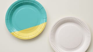 ದೇಹದಲ್ಲಿ ಪ್ಲೇಟ್‌ಲೆಟ್‌ಗಳು ಕಡಿಮೆಯಾಗುವುದಕ್ಕೆ ಈ ರೋಗಗಳೇ ಕಾರಣ ಎಂಬುದು ತಿಳಿದಿದೆಯೇ?