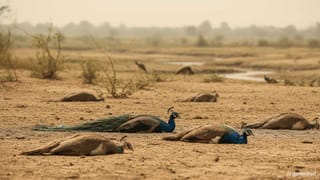 ಶೌಚಾಲಯದಲ್ಲಿ ಸಿರಿಂಜ್‌ಗಳು ಪತ್ತೆ: ತುಮಕೂರಿನಲ್ಲಿ ನಡೆಯುತ್ತಿರುವ ರಾಷ್ಟ್ರೀಯ ಕ್ರೀಡಾಕೂಟದಲ್ಲಿ ಉದ್ದೀಪನ ಶಂಕೆ!