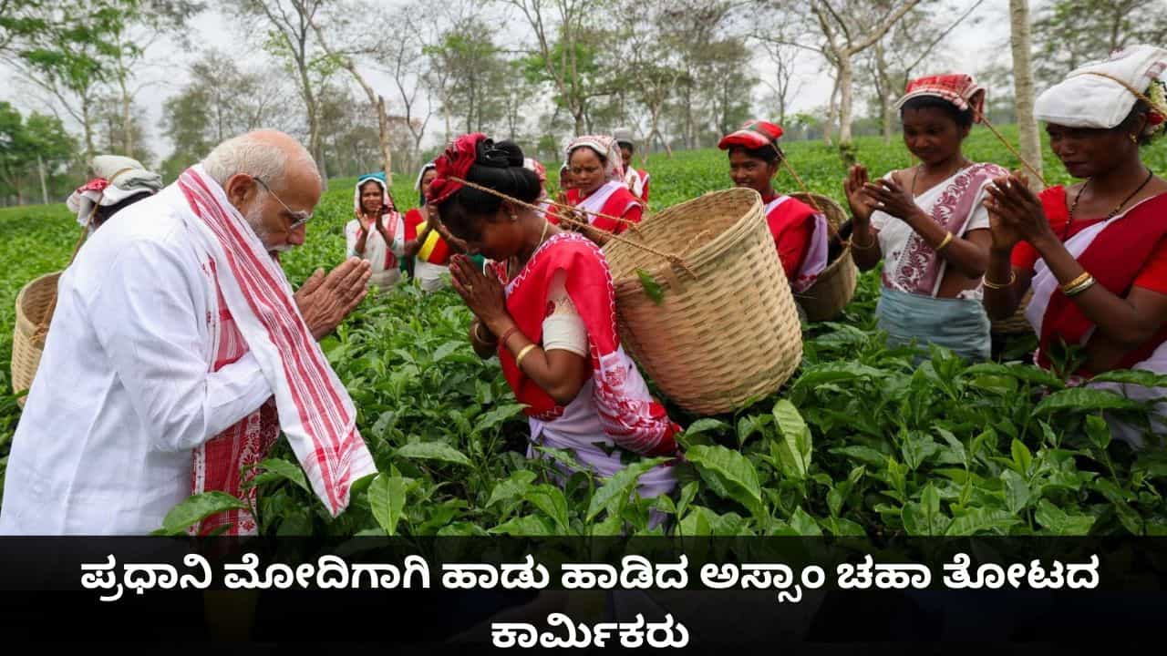 ಪ್ರಧಾನಿ ಮೋದಿಗಾಗಿ ಹಾಡು ಹಾಡಿದ ಅಸ್ಸಾಂ ಚಹಾ ತೋಟದ ಕಾರ್ಮಿಕರು ಪ್ರಧಾನಿ ಮೋದಿಗಾಗಿ ಹಾಡು ಹಾಡಿದ ಅಸ್ಸಾಂ ಚಹಾ ತೋಟದ ಕಾರ್ಮಿಕರು