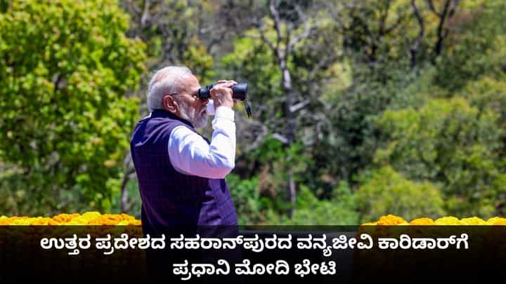 ಉತ್ತರ ಪ್ರದೇಶದ ಸಹರಾನ್ಪುರದ ವನ್ಯಜೀವಿ ಕಾರಿಡಾರ್ಗೆ ಪ್ರಧಾನಿ ಮೋದಿ ಭೇಟಿ ಉತ್ತರ ಪ್ರದೇಶದ ಸಹರಾನ್ಪುರದ ವನ್ಯಜೀವಿ ಕಾರಿಡಾರ್ಗೆ ಪ್ರಧಾನಿ ಮೋದಿ ಭೇಟಿ