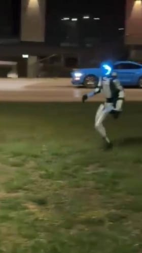 ಪೋಲೆಂಡ್​ನಲ್ಲಿ ಹಂದಿಗಳ ಓಡಿಸಿದ ರೋಬೋಟ್