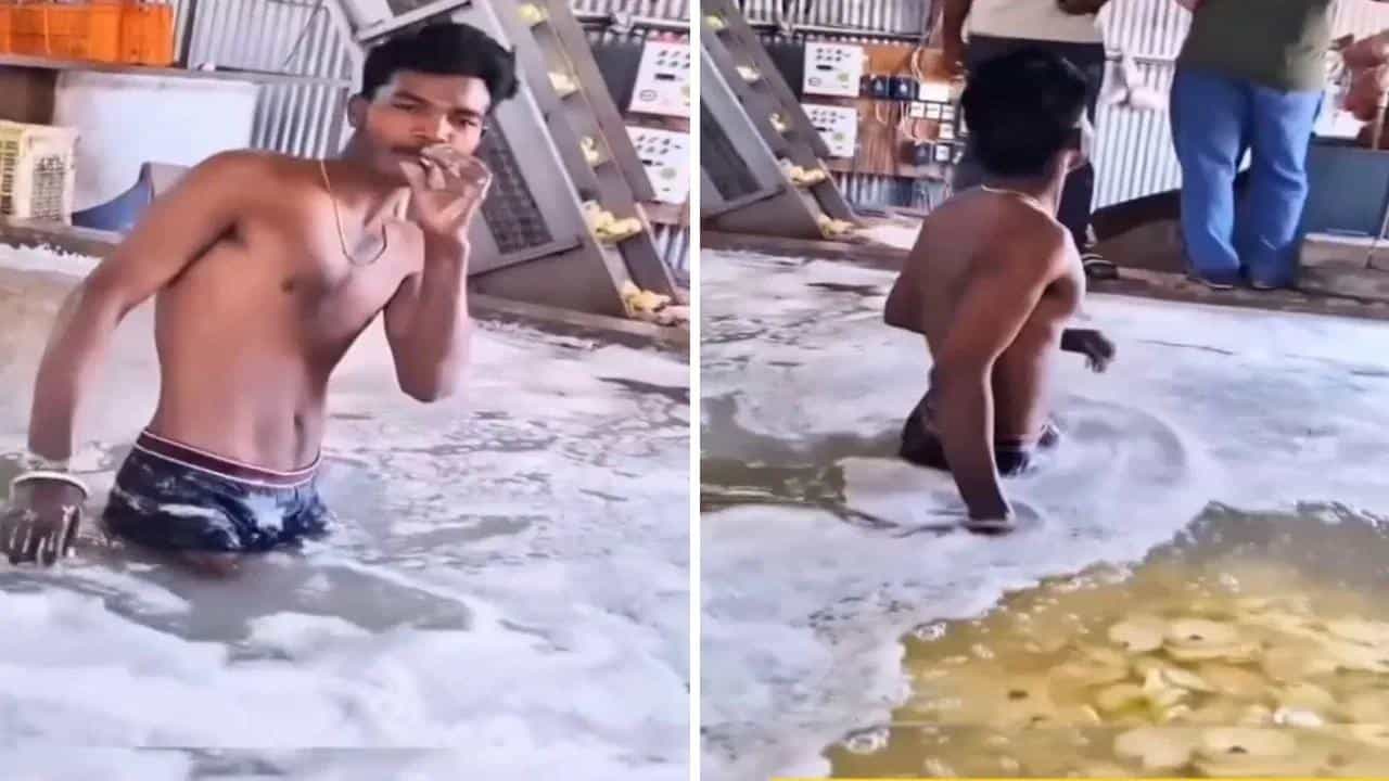 Viral Video: ಕಾರ್ಖಾನೆಯಲ್ಲಿ ಆಲೂಗಡ್ಡೆ ಚಿಪ್ಸ್ ತಯಾರಿಸುವುದು ಹೀಗೆಯೇ?, ಈ ವಿಡಿಯೋ ನೋಡಿದರೆ ತಿನ್ನುವುದನ್ನೇ ಮರೆತುಬಿಡುತ್ತೀರಿ! Viral Video: ಕಾರ್ಖಾನೆಯಲ್ಲಿ ಆಲೂಗಡ್ಡೆ ಚಿಪ್ಸ್ ತಯಾರಿಸುವುದು ಹೀಗೆಯೇ?, ಈ ವಿಡಿಯೋ ನೋಡಿದರೆ ತಿನ್ನುವುದನ್ನೇ ಮರೆತುಬಿಡುತ್ತೀರಿ!