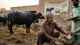 ಇನ್ಮುಂದೆ ಎಲ್ಲ ರೈತರು ಸಗಣಿ ತೆರಿಗೆ ನೀಡುವುದು ಕಡ್ಡಾಯ