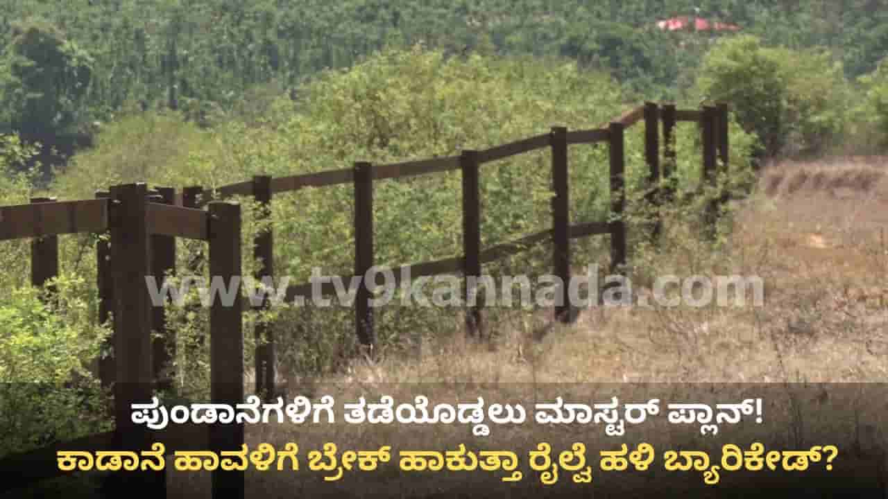 ಕಾಡಾನೆ ಹಾವಳಿಗೆ ಬ್ರೇಕ್ ಹಾಕುತ್ತಾ ರೈಲ್ವೆ ಹಳಿ ಬ್ಯಾರಿಕೇಡ್? ಹಾಸನ ಗಡಿಯಲ್ಲಿ 35 ಕಿಮೀ ಭದ್ರಕೋಟೆ ಸಿದ್ಧ!