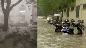 ಮಳೆಗೆ ಬೆಂಗಳೂರು ತತ್ತರ: 50ಕ್ಕೂ ಹೆಚ್ಚು ಮರಗಳು ಧರೆಗೆ, ವಾಹನಗಳು ಜಖಂ