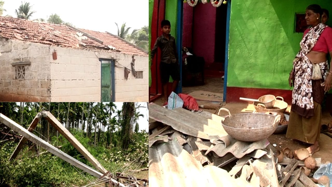 ಅಕಾಲಿಕ ಮಳೆಗೆ ಬೆದರಿದ ಭದ್ರಾವತಿ: ವರುಣನ ಅಬ್ಬರಕ್ಕೆ ರೈತರ ಬದುಕು ಮೂರಾಬಟ್ಟೆ