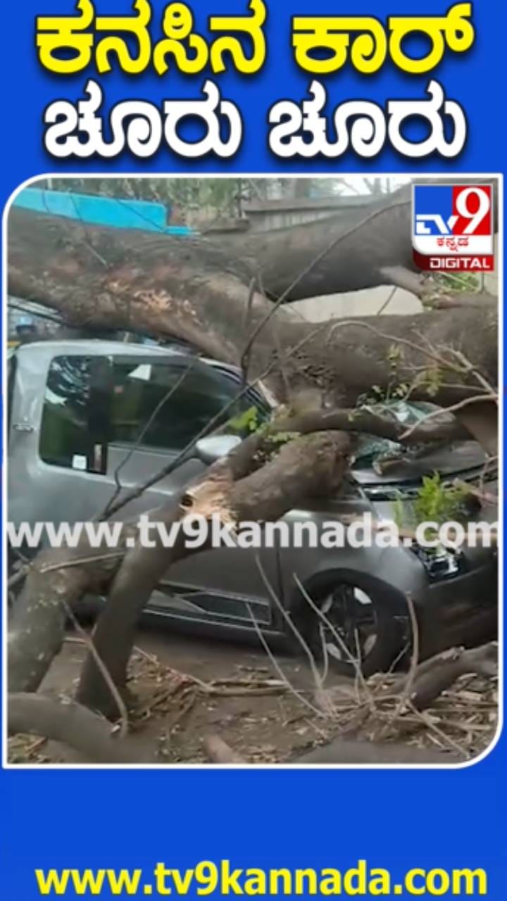 ಬಿರುಗಾಳಿಗೆ ಮರದ ಕೊಂಬೆ ಬಿದ್ದು ಕಾರು ಜಖಂ