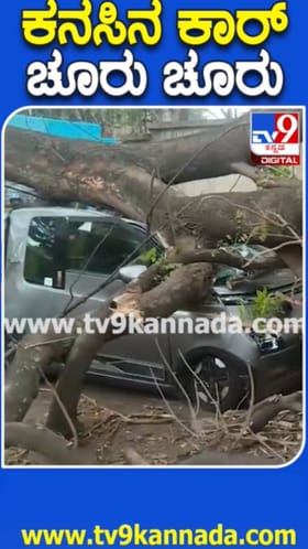 ಬಿರುಗಾಳಿಗೆ ಮರದ ಕೊಂಬೆ ಬಿದ್ದು ಕಾರು ಜಖಂ