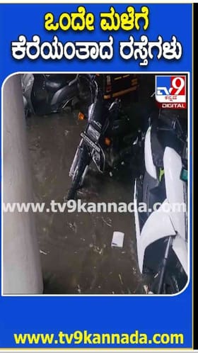 ಬೇಸಿಗೆ ಮಳೆಗೆ ಕೆರೆಯಂತಾದ ರಸ್ತೆಗಳು