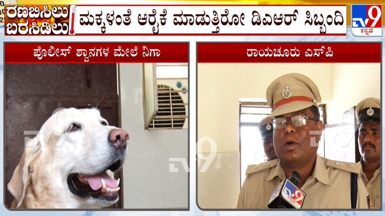 ರಾಯಚೂರು: ಬಿಸಿಲ ಝಳಕ್ಕೆ ಪೊಲೀಸ್ ಶ್ವಾನಗಳು ಕಂಗಾಲು: ಏರ್ ಕೂಲರ್ ವ್ಯವಸ್ಥೆ ಮಾಡಿ ಮಕ್ಕಳಂತೆ ಆರೈಕೆ ಮಾಡ್ತಿರುವ ಸಿಬ್ಬಂದಿ