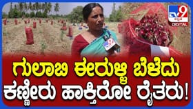 ಲಕ್ಷ ಲಕ್ಷ ಖರ್ಚು ಮಾಡಿ ಬೆಳೆದ ಗುಲಾಬಿ ಈರುಳ್ಳಿಯನ್ನು ಕೇಳೋರೆ ಇಲ್ಲ!