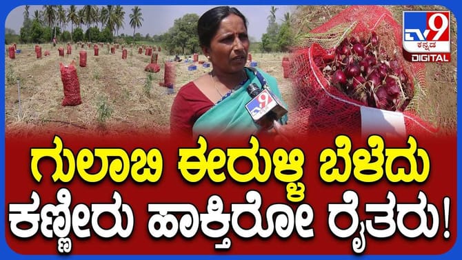 ಲಕ್ಷ ಲಕ್ಷ ಖರ್ಚು ಮಾಡಿ ಬೆಳೆದ ಗುಲಾಬಿ ಈರುಳ್ಳಿಯನ್ನು ಕೇಳೋರೆ ಇಲ್ಲ!