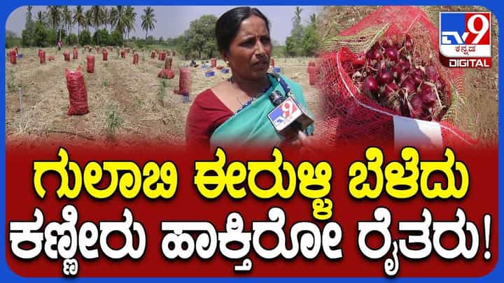 ಲಕ್ಷ ಲಕ್ಷ ಖರ್ಚು ಮಾಡಿ ಬೆಳೆದ ಗುಲಾಬಿ ಈರುಳ್ಳಿಯನ್ನು ಕೇಳೋರೆ ಇಲ್ಲ! ಲಕ್ಷ ಲಕ್ಷ ಖರ್ಚು ಮಾಡಿ ಬೆಳೆದ ಗುಲಾಬಿ ಈರುಳ್ಳಿಯನ್ನು ಕೇಳೋರೆ ಇಲ್ಲ!