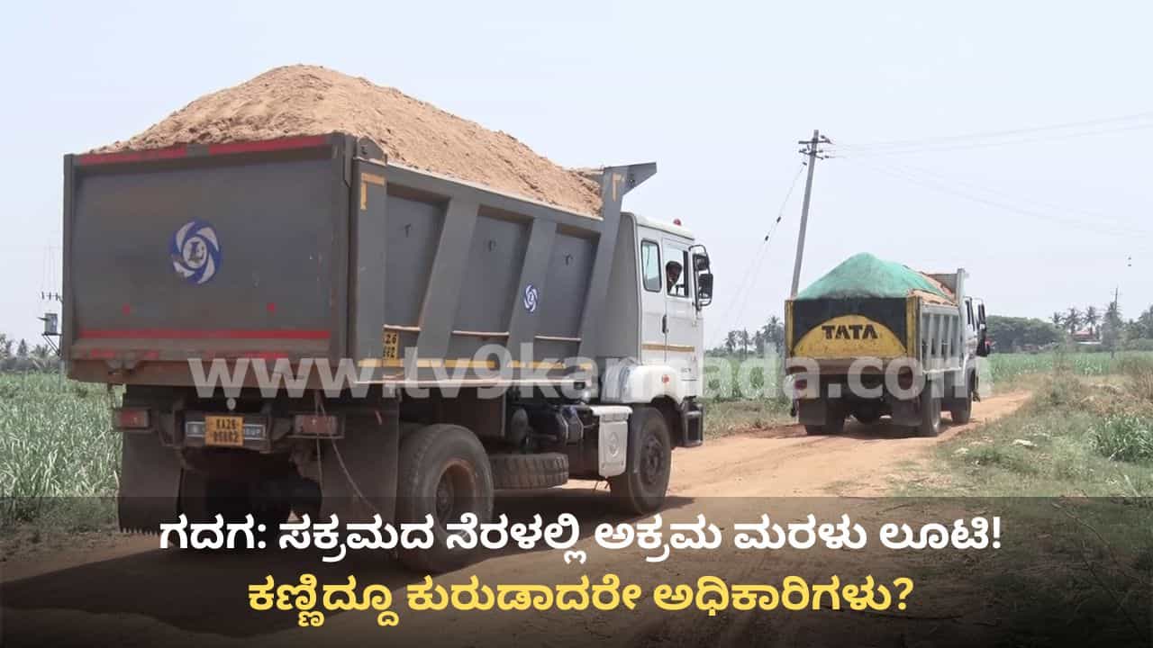 ಗದಗ: ಎಗ್ಗಿಲ್ಲದೇ ನಡೀತಿದೆ ಅಕ್ರಮ ಮರಳು ಲೂಟಿ, ಸರ್ಕಾರಕ್ಕೆ ನಿತ್ಯ ಲಕ್ಷಾಂತರ ರೂ. ತೆರಿಗೆ ವಂಚನೆ