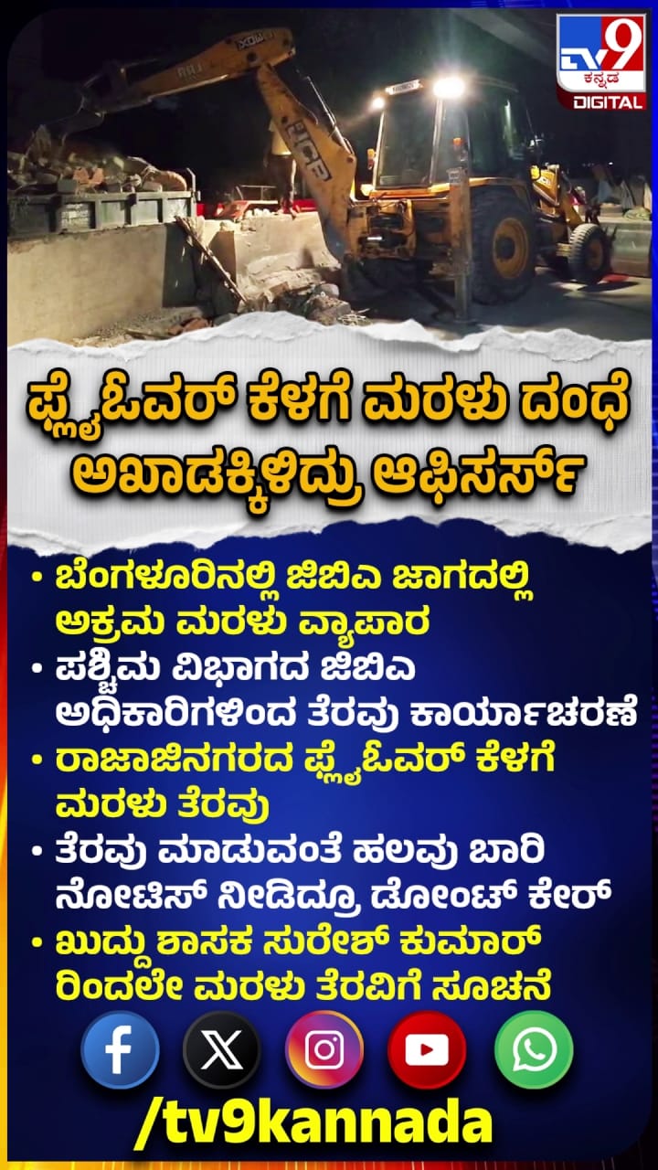 ಬೆಂಗಳೂರು ಫ್ಲೈಓವರ್ ಕೆಳಗೇ ಅಕ್ರಮ ಮರಳು ದಂಧೆ!