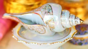 ಮನೆಯಲ್ಲಿ ಶಂಖ ಇಡುವ ಮುನ್ನ ಈ ನಿಯಮ ತಿಳಿದುಕೊಳ್ಳಿ