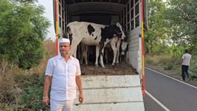 ಅಕ್ರಮ ಗೋ ಸಾಗಾಟ ವಾಹನ ತಡೆದು 23 ಗೋವುಗಳನ್ನು ರಕ್ಷಿಸಿದ BJP ಶಾಸಕ