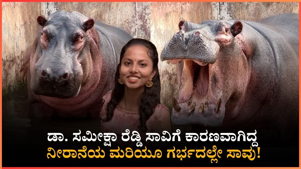 ಒತ್ತಡಕ್ಕೆ ಬಲಿಯಾಯಿತೇ ಮರಿ?: ಡಾ. ಸಮೀಕ್ಷಾ ರೆಡ್ಡಿ ಸಾವಿಗೆ ಕಾರಣವಾದ ನೀರಾನೆಯ ಮರಿಯಳು ಗರ್ಭದಲ್ಲೇ ಸಾವು!