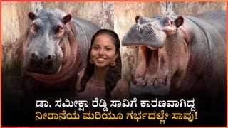 ಒತ್ತಡಕ್ಕೆ ಬಲಿಯಾಯಿತೇ ಮರಿ?: ಡಾ. ಸಮೀಕ್ಷಾ ರೆಡ್ಡಿ ಸಾವಿಗೆ ಕಾರಣವಾಗಿದ್ದ ನೀರಾನೆಯ ಮರಿಯೂ ಗರ್ಭದಲ್ಲೇ ಸಾವು!