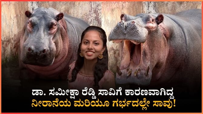 ಡಾ. ಸಮೀಕ್ಷಾ ರೆಡ್ಡಿ ಸಾವಿಗೆ ಕಾರಣವಾಗಿದ್ದ ನೀರಾನೆಯ ಮರಿಯೂ ಗರ್ಭದಲ್ಲೇ ಸಾ