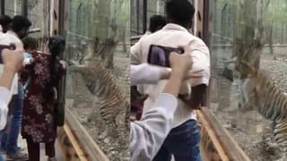 VIDEO: ದಿಢೀರ್ ಚೆಂಡು ಬದಲಿಸಿದ ಅಂಪೈರ್​: ಟಿಮ್ ಡೇವಿಡ್​ಗೆ ಡೌಟ್..!