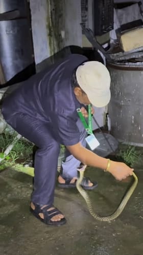 ಹಾವು ಹಿಡಿಯಲು ಹೋದವನನ್ನೇ ಕಚ್ಚಿದ ಹಾವು