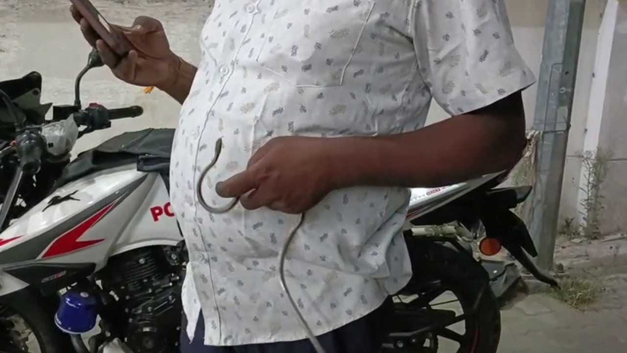 ಟ್ರಾಫಿಕ್ ಪೊಲೀಸ್ ಬೈಕ್​ನಲ್ಲಿ ಅಡಗಿತ್ತು ಹಾವು! ವೀಡಿಯೋ ನೋಡಿ