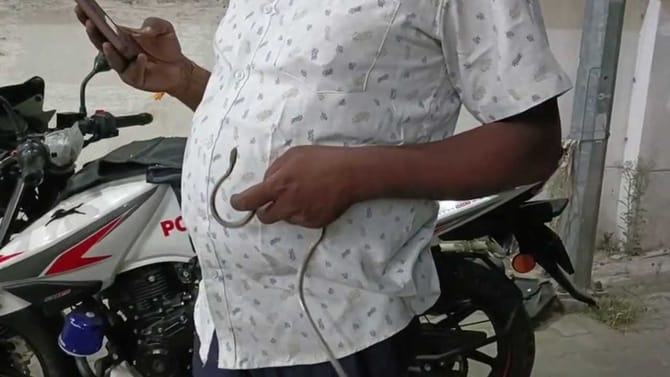 ಟ್ರಾಫಿಕ್ ಪೊಲೀಸ್ ಬೈಕ್​ನಲ್ಲಿ ಅಡಗಿತ್ತು ಹಾವು! ವೀಡಿಯೋ ನೋಡಿ