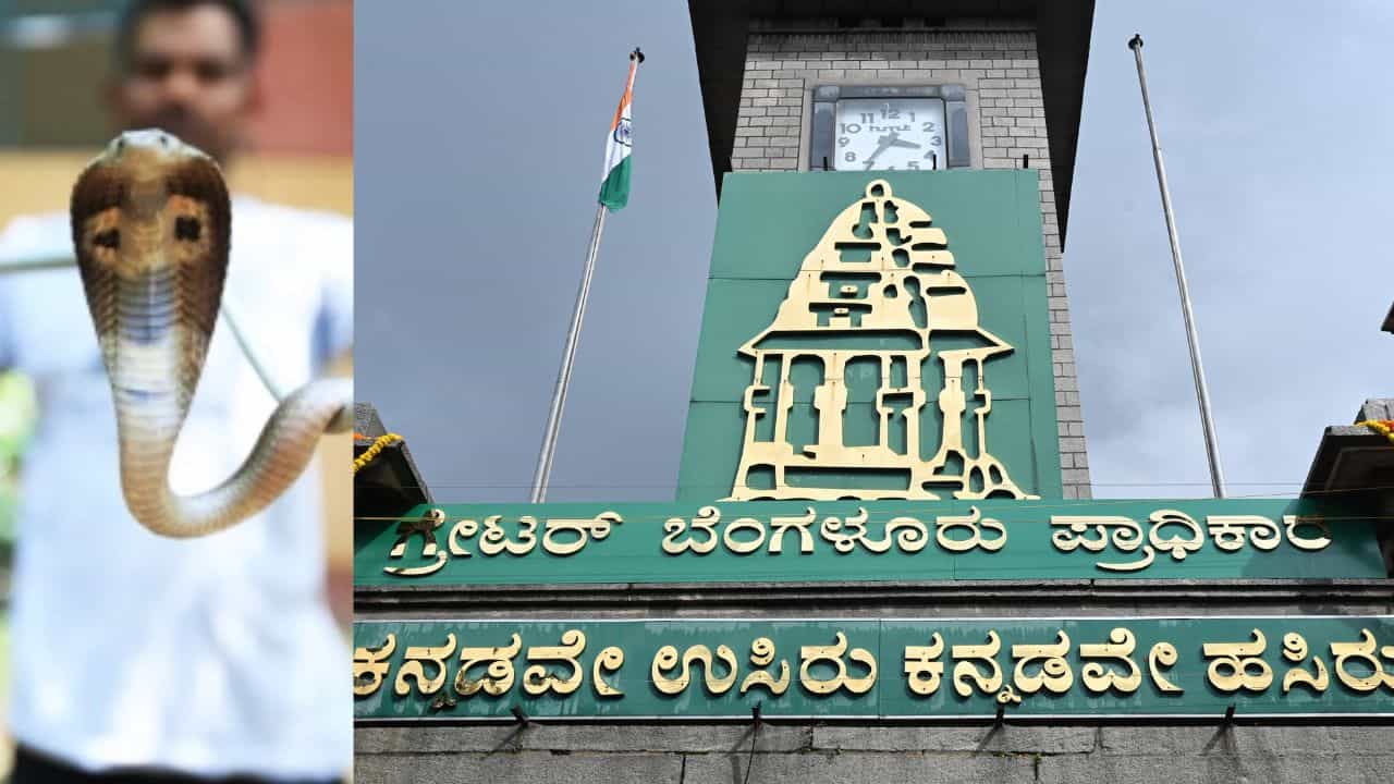 ಹಾವು ರಕ್ಷಣೆ ಕುರಿತ ಕರೆಗಳ ಏರಿಕೆಗೆ GBA ಹೈರಾಣ: ಇತ್ತ ಅಗತ್ಯ ಸೌಲಭ್ಯ, ವೇತನ ಇಲ್ಲದೆ ಸಂಕಷ್ಟದಲ್ಲಿ ಉರಗ ರಕ್ಷಕರು
