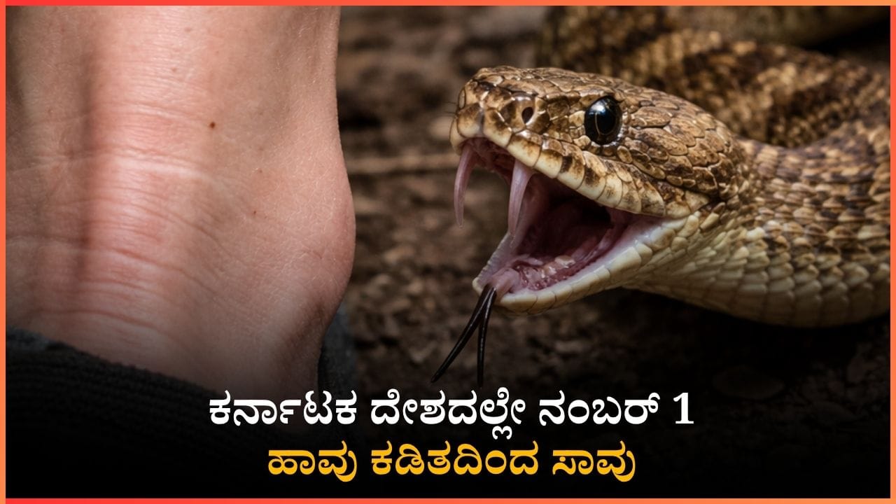 ಹಾವು ಕಡಿತದಿಂದ ಸಾವು: ದೇಶದಲ್ಲೇ ಕರ್ನಾಟಕಕ್ಕೆ ಮೊದಲ ಸ್ಥಾನ; ಮೂರು ವರ್ಷಗಳಲ್ಲಿ 277 ಸಾವು!