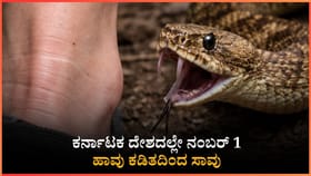 ಹಾವು ಕಡಿತದಿಂದ ಸಾವು: ದೇಶದಲ್ಲೇ ಕರ್ನಾಟಕಕ್ಕೆ ಮೊದಲ ಸ್ಥಾನ