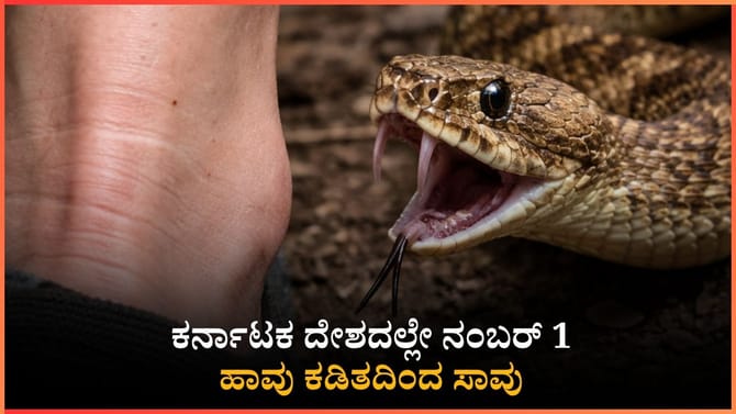 ಹಾವು ಕಡಿತದಿಂದ ಸಾವು: ದೇಶದಲ್ಲೇ ಕರ್ನಾಟಕಕ್ಕೆ ಮೊದಲ ಸ್ಥಾನ