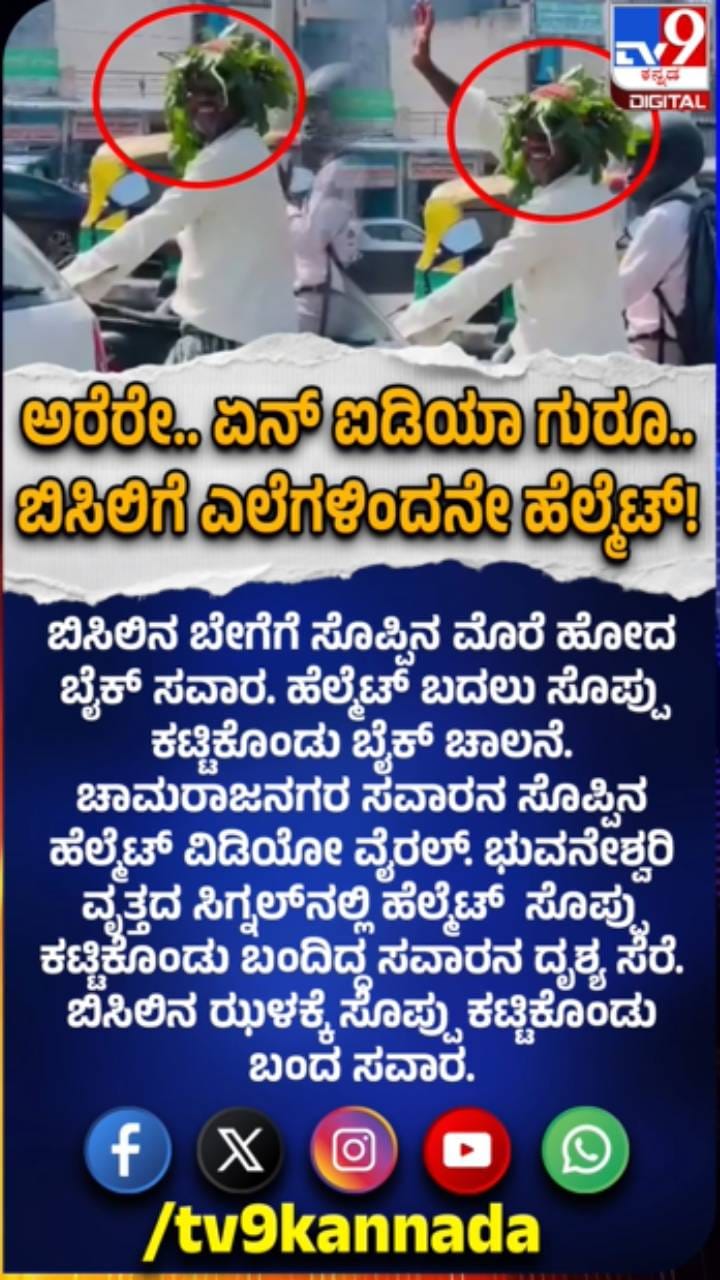 ಬಿಸಿಲಿಗೆ ಸೊಪ್ಪಿನ ಹೆಲ್ಮೆಟ್ ಧರಿಸಿ ಗಮನ ಸೆಳೆದ ಬೈಕ್​ ಸವಾರ