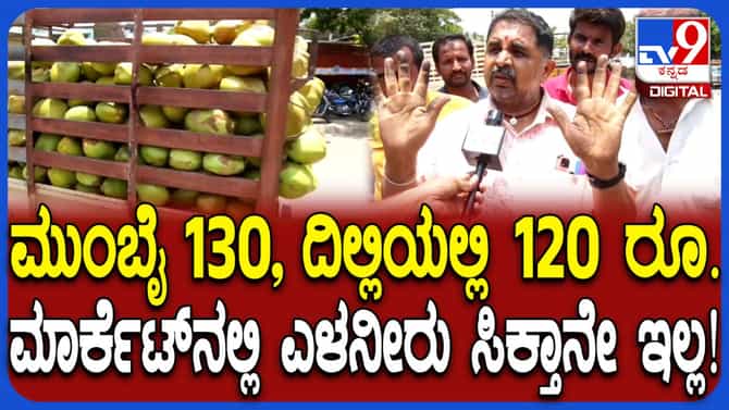 ಬೇಸಿಗೆ ಬೇಗೆ ಬೆನ್ನಲ್ಲೇ ಎಳನೀರಿಗೆ ಭಾರಿ ಬೇಡಿಕೆ, ದರವೂ ಏರಿಕೆ