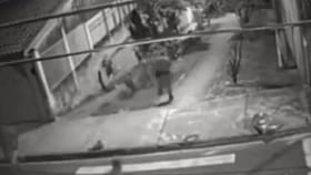 ಒಂದೇ ಫ್ರೇಮ್‌ನಲ್ಲಿ ಹೆಂಡತಿ, ನಾಯಿ-ಬೆಕ್ಕು, ಪೊಲೀಸ್-ಕಳ್ಳ