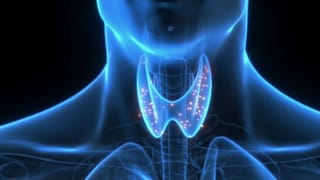 National Maritime day 2026: ಏಪ್ರಿಲ್‌ 5ರಂದೇ ರಾಷ್ಟ್ರೀಯ ಕಡಲ ದಿನವನ್ನು ಆಚರಿಸುವುದು ಏಕೆ?