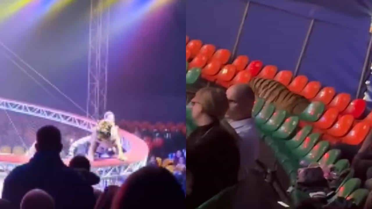 Video: ಸರ್ಕಸ್ನಲ್ಲಿ ಸೇಫ್ಟಿನೆಟ್ ದಾಟಿ ವೇದಿಕೆ ಎದುರಿದ್ದ ಪ್ರೇಕ್ಷಕರೆಡೆಗೆ ಹಾರಿದ ಹುಲಿ Video: ಸರ್ಕಸ್ನಲ್ಲಿ ಸೇಫ್ಟಿನೆಟ್ ದಾಟಿ ವೇದಿಕೆ ಎದುರಿದ್ದ ಪ್ರೇಕ್ಷಕರೆಡೆಗೆ ಹಾರಿದ ಹುಲಿ