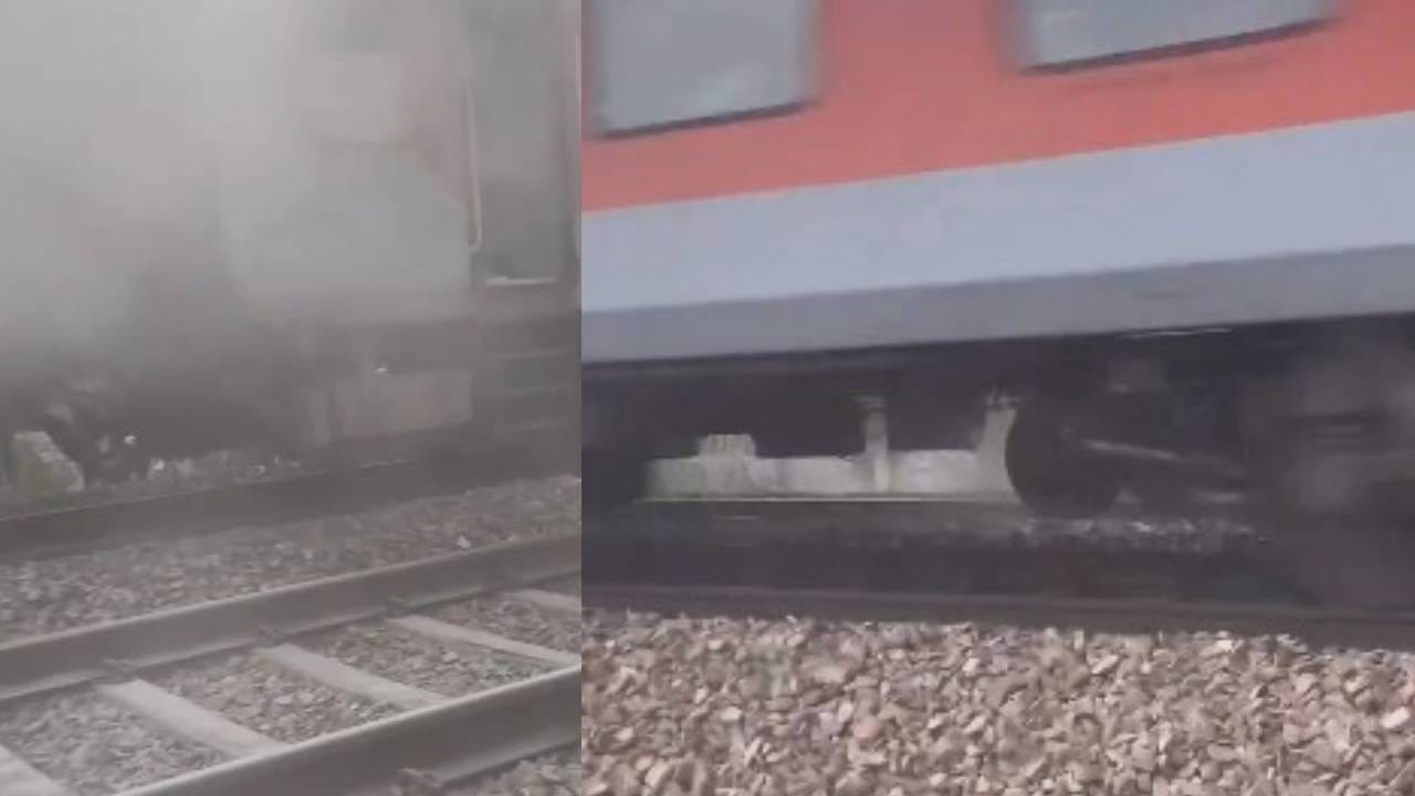 Video: ತಾಂತ್ರಿಕ ದೋಷ, ನಿಂತಿದ್ದ ರೈಲಿನಿಂದ ಇಳಿದ ಪ್ರಯಾಣಿಕನ ಮೇಲೆ ಹರಿದ ಮತ್ತೊಂದು ರೈಲು