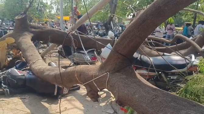 ಬಿರುಗಾಳಿ ಮಳೆಗೆ ಧರೆಗುರುಳಿದ ಬೃಹತ್​​ ಮರ: 15ಕ್ಕೂ ಹೆಚ್ಚು ಬೈಕ್​ಗಳು ಜಖಂ