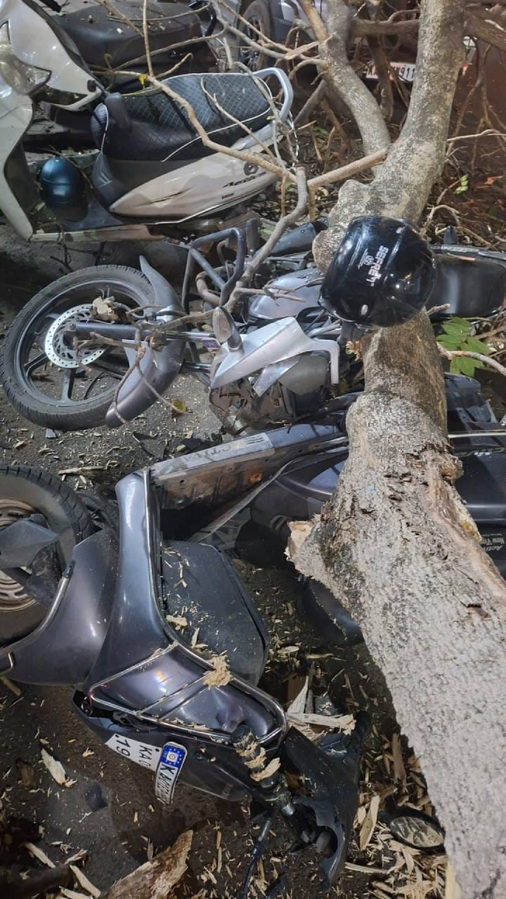 ಮರದ ಕೊಂಬೆ ಬಿದ್ದು ಬೈಕ್​​ಗಳು ಜಖಂ: ತಪ್ಪಿದ ದುರಂತ