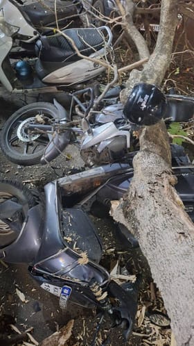 ಮರದ ಕೊಂಬೆ ಬಿದ್ದು ಬೈಕ್​​ಗಳು ಜಖಂ: ತಪ್ಪಿದ ದುರಂತ