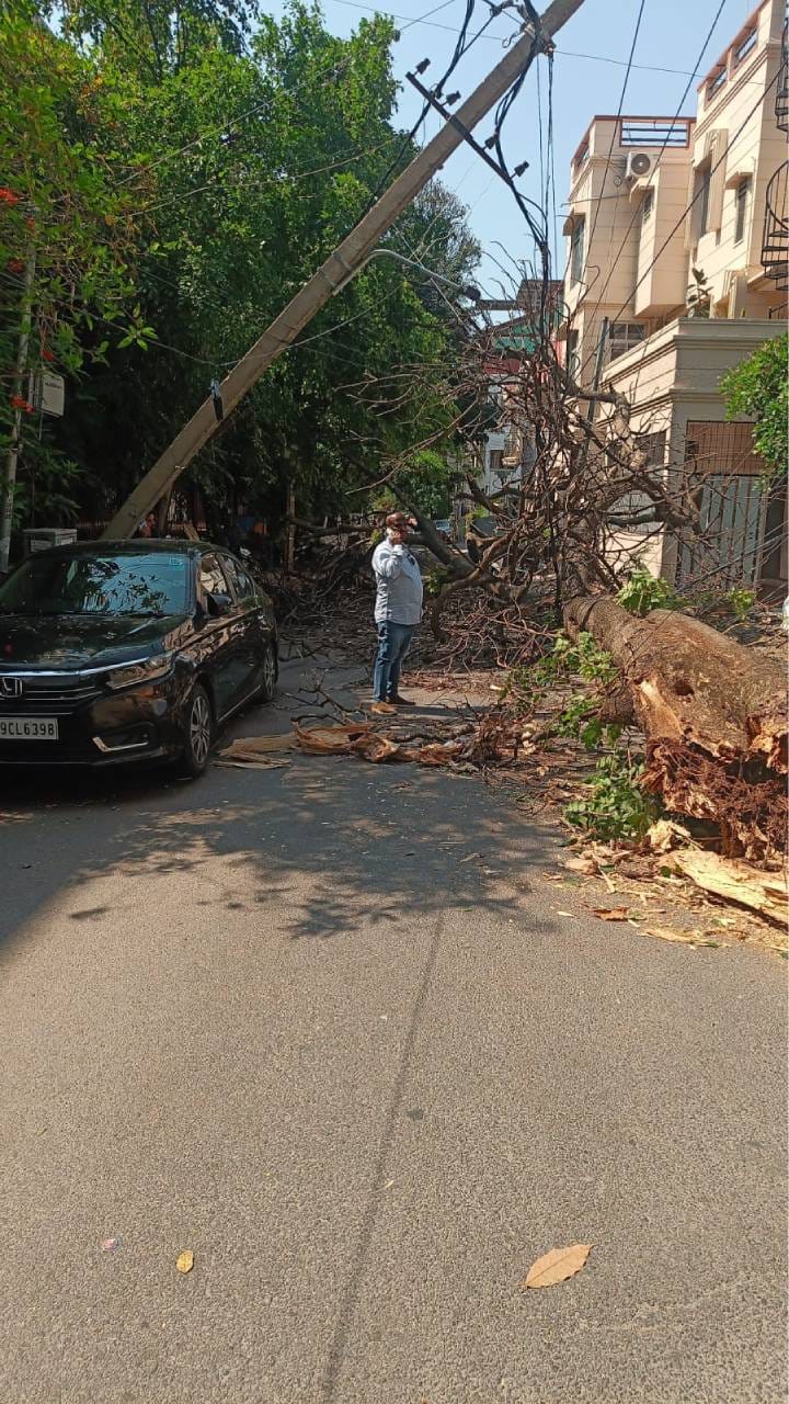ಏಕಾಏಕಿ ಉರುಳಿಬಿದ್ದ ಒಣಗಿದ ಮರ ಕಾರು ಡ್ಯಾಮೇಜ್