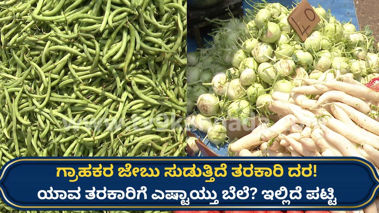 ತರಕಾರಿ ದರ ದಿಢೀರ್ ಏರಿಕೆ: 100ರ ಗಡಿ ದಾಟಿದ ಬೀನ್ಸ್, ಕಂಗಾಲಾದ ಗ್ರಾಹಕ! ಯಾವ ತರಿಕಾರಿಗೆ ಎಷ್ಟು? ಇಲ್ಲಿದೆ ಲಿಸ್ಟ್ ತರಕಾರಿ ದರ ದಿಢೀರ್ ಏರಿಕೆ: 100ರ ಗಡಿ ದಾಟಿದ ಬೀನ್ಸ್, ಕಂಗಾಲಾದ ಗ್ರಾಹಕ! ಯಾವ ತರಿಕಾರಿಗೆ ಎಷ್ಟು? ಇಲ್ಲಿದೆ ಲಿಸ್ಟ್