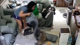 ಏಕಾಏಕಿ ಮಾಲಕಿಯ ಮೇಲೆ ಸಾಕು ಬೆಕ್ಕು ದಾಳಿ;ಭೀಕರ ದೃಶ್ಯ ಸಿಸಿಟಿವಿಯಲ್ಲಿ ಸೆರೆ