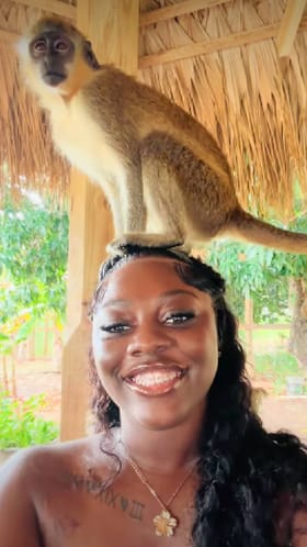 ಯುವತಿಯ ತಲೆ ಮೇಲೆ ಹತ್ತಿ ಕುಳಿತು ಮೂತ್ರ ಮಾಡಿದ ಕೋತಿ