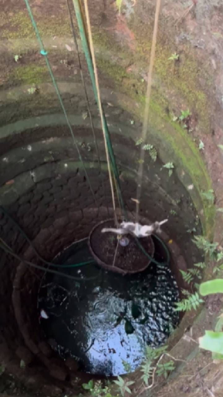 ಬಾವಿಗೆ ಬಿದ್ದ ಬೆಕ್ಕಿನ ರಕ್ಷಣೆಗೆ ಹರಸಾಹಸ