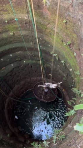 ಬಾವಿಗೆ ಬಿದ್ದ ಬೆಕ್ಕಿನ ರಕ್ಷಣೆಗೆ ಹರಸಾಹಸ